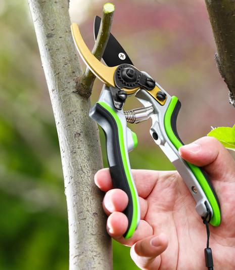 Tesoura de Poda Profissional